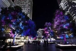 「ヨコハマミライト2025」横浜最大級のイルミネーション、グランモール公園初のクリスマスマーケットも｜写真18