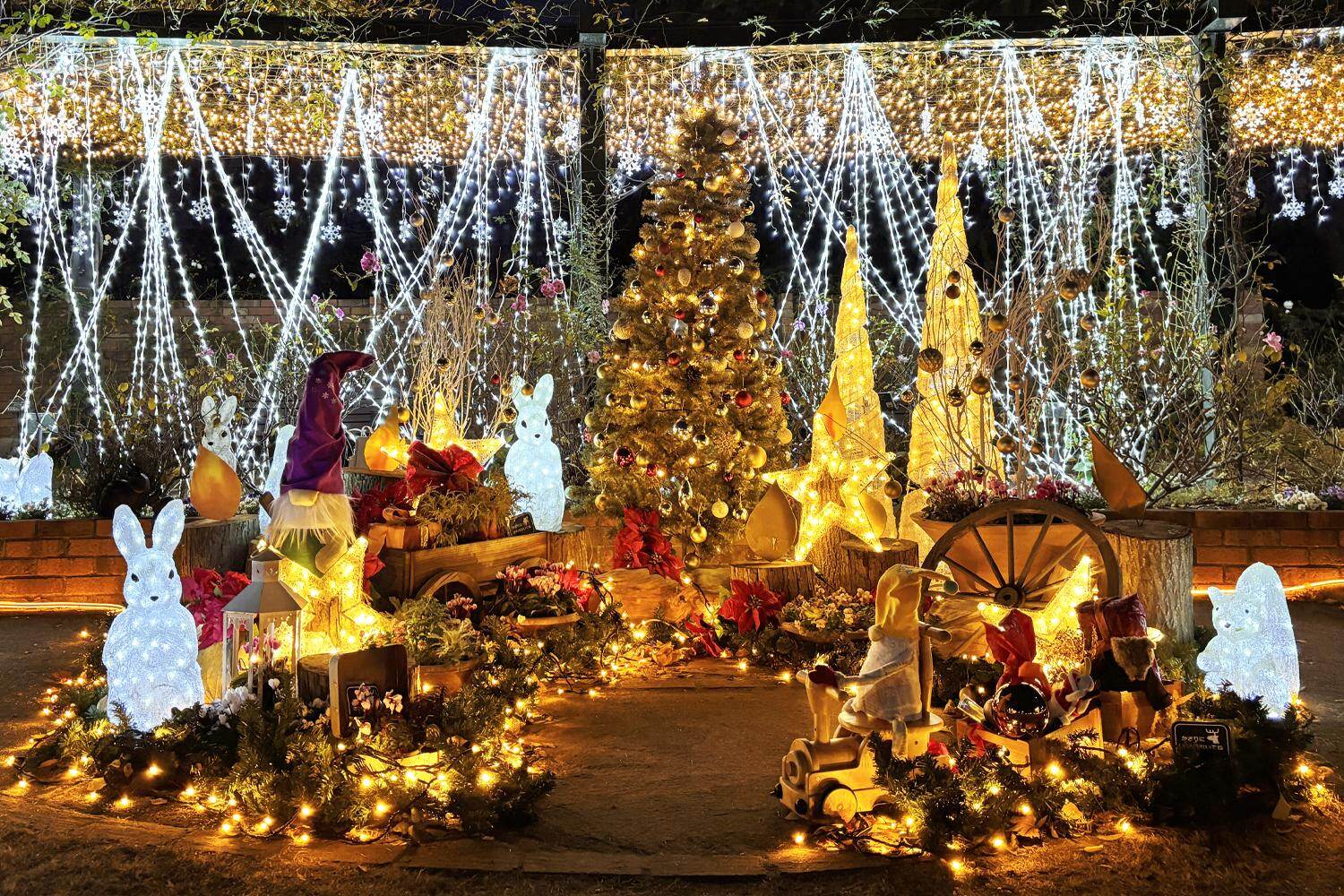 ※2024年開催時の様子