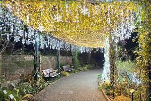 練馬・四季の香ローズガーデンでクリスマスイルミネーション、動物＆妖精が現れるバラ庭園｜写真4