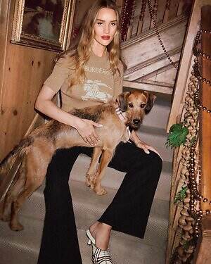 バーバリー“チェック柄”カシミヤマフラー、ふんわりアルパカウールブレンドのストールも｜写真17