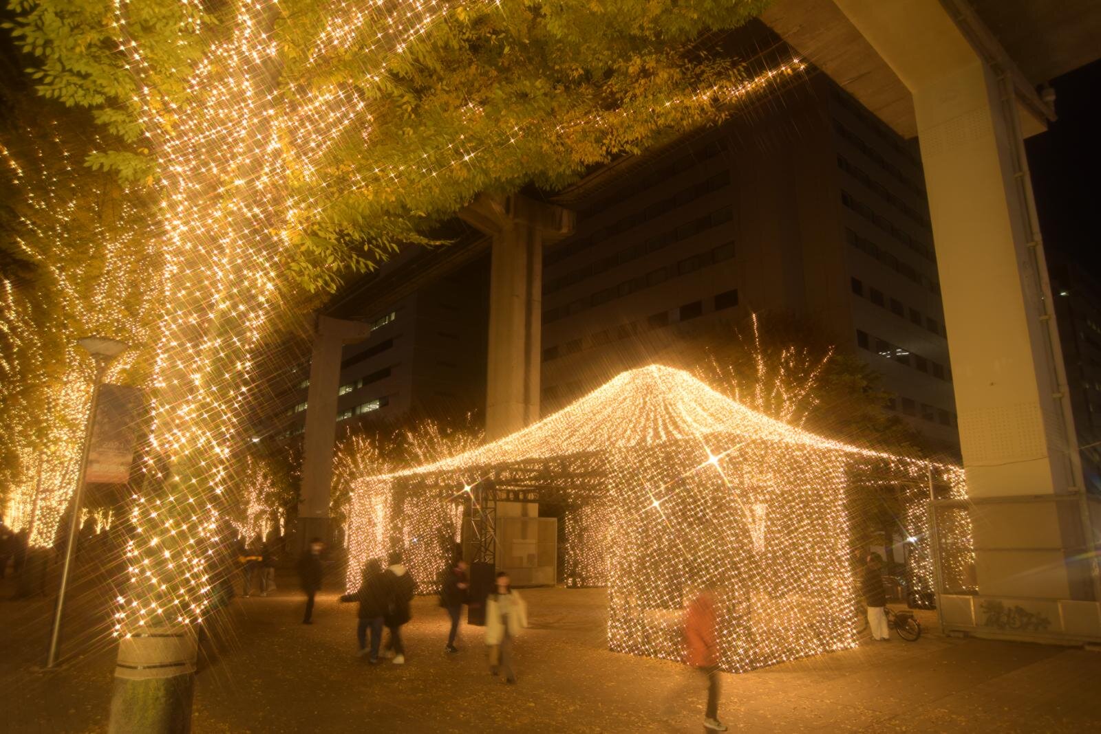 「2025 たちかわイルミネーション」立川駅北口に約60万球が輝く“光のケヤキ並木＆ツリー”｜写真3