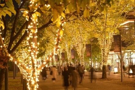 「2025 たちかわイルミネーション」立川駅北口に約60万球が輝く“光のケヤキ並木＆ツリー”｜写真6