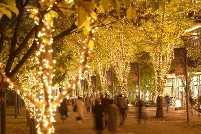 イルミネーション｜「2025 たちかわイルミネーション」立川駅北口に約60万球が輝く“光のケヤキ並木＆ツリー”