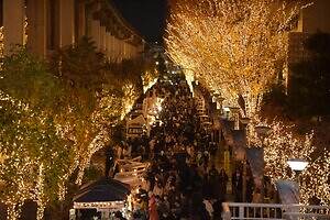 「2025 たちかわイルミネーション」立川駅北口に約60万球が輝く“光のケヤキ並木＆ツリー”｜写真5