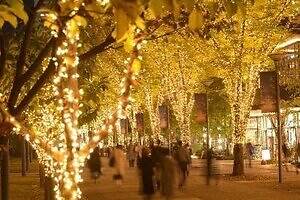 「2025 たちかわイルミネーション」立川駅北口に約60万球が輝く“光のケヤキ並木＆ツリー”