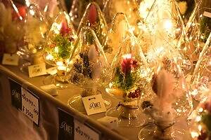 「2025 たちかわイルミネーション」立川駅北口に約60万球が輝く“光のケヤキ並木＆ツリー”｜写真4