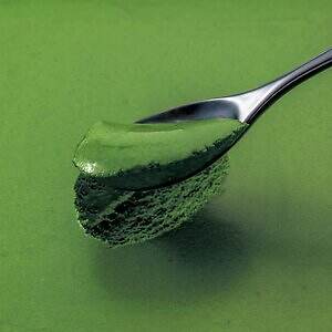 祇園辻利の25年クリスマスケーキ、濃茶ショコラムースや抹茶塩ガナッシュなど“5種の抹茶”を重ねて｜写真2