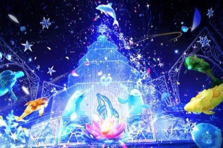 横浜・八景島シーパラダイスのクリスマス、イルカショーと連動するイルミネーションツリー