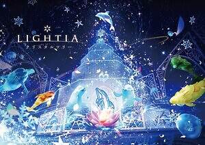 横浜・八景島シーパラダイスのクリスマス、イルカショーと連動するイルミネーションツリー｜写真1