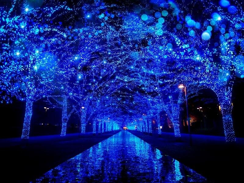 「青の洞窟」渋谷～代々木公園ケヤキ並木で青い光のイルミネーション、雪だるまの巨大バルーンも