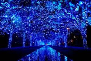 「青の洞窟」渋谷～代々木公園ケヤキ並木で青い光のイルミネーション、雪だるまの巨大バルーンも