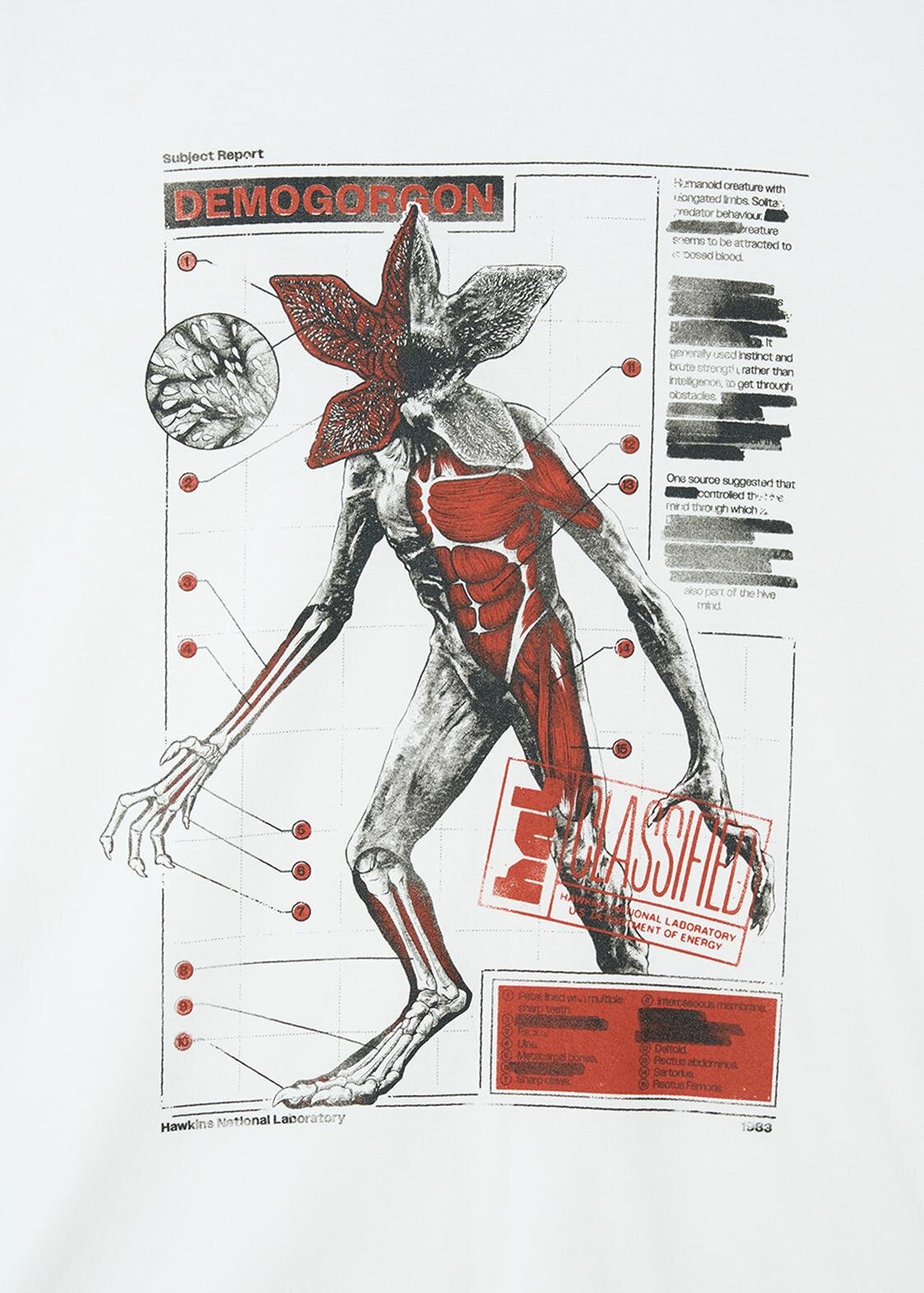 グラニフ(graniph) ストレンジャー・シングス｜写真23