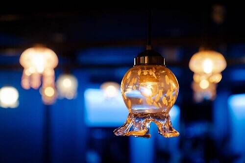 幻想的な“クラゲランプ”が彩る京都水族館冬イベント「くらげのあかりたち」クラゲのあったかココアも