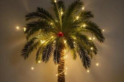 「渋谷クリスマスマーケット2025」代々木公園で楽しむ“ハワイアン”なクリスマス