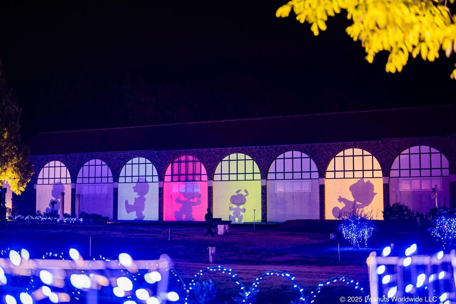 「ピーナッツ」スヌーピーのイルミネーションが愛媛・今治のタオル美術館で、クリスマスディナーコースも