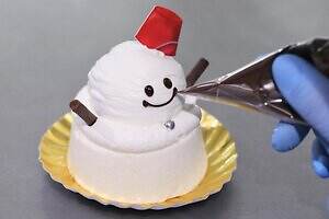 パティスリーピネード(PÂTISSERIE PINÈDE) サンタシャンティちゃん｜写真6