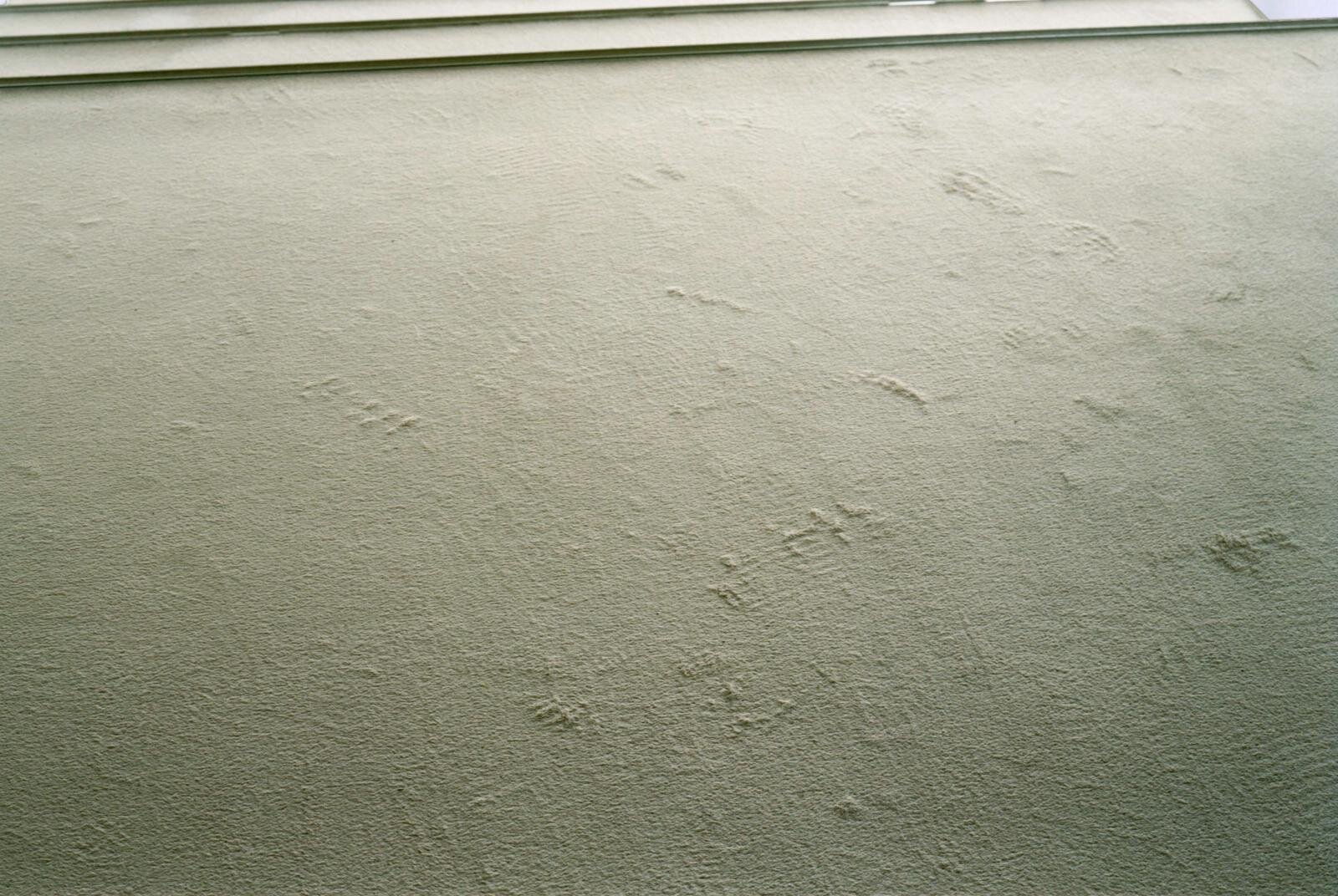 アエタ 2025-26年秋冬<span>コレクション</span> - 写真4