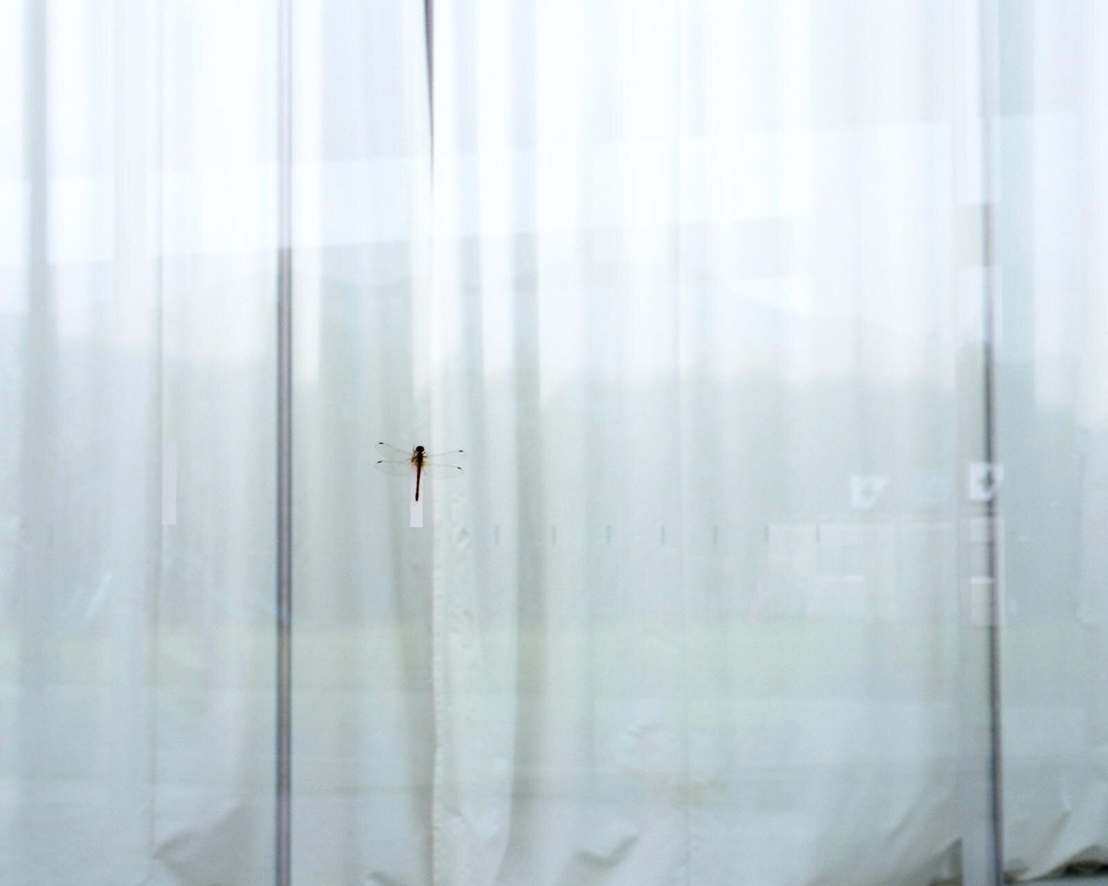 アエタ 2025-26年秋冬<span>コレクション</span> - 写真11