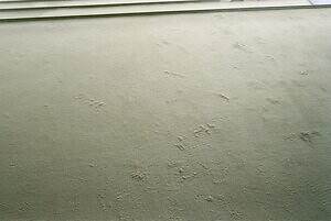 アエタ(Aeta) 2025-26年秋冬ウィメンズコレクション  - 写真4