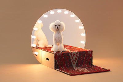 「犬のための建築」