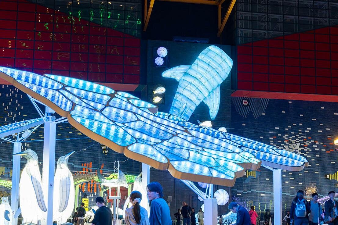 「海遊館イルミネーション2025」幻想的な“光の海”に、壁面を泳ぐ巨大ジンベエザメ＆カマイルカ