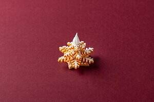 コンラッド東京「ハーリップトゥ」コラボアフタヌーンティー、オーナメント型紅茶ムースやチェック柄マカロン｜写真9