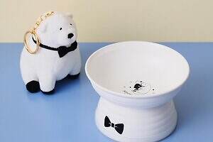 アフタヌーンティー・リビング「SPY×FAMILY」ボンドのマスコットやアーニャのマグカップ