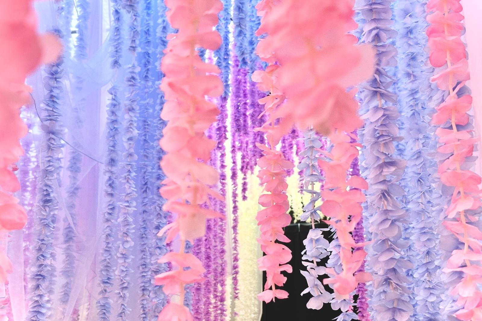 東京スカイツリーで「におい展」“世界一の激臭から美臭まで”体感、臭い当てゲーム＆花のトンネルも