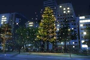 広島の冬イルミネーション「ひろしまドリミネーション2025」“光の城”や街路樹ライトアップ｜写真3