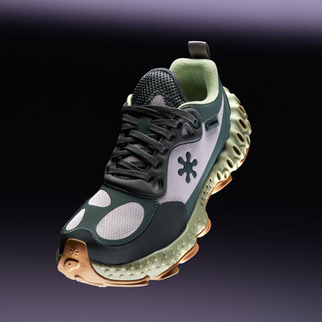 スポンジ(SPUNGE) スポンジ｜写真5