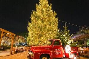 ラルフ ローレンのクリスマスイベント、もみの木ツリー＆“ポロベアの冬キャンプ”映像スポット