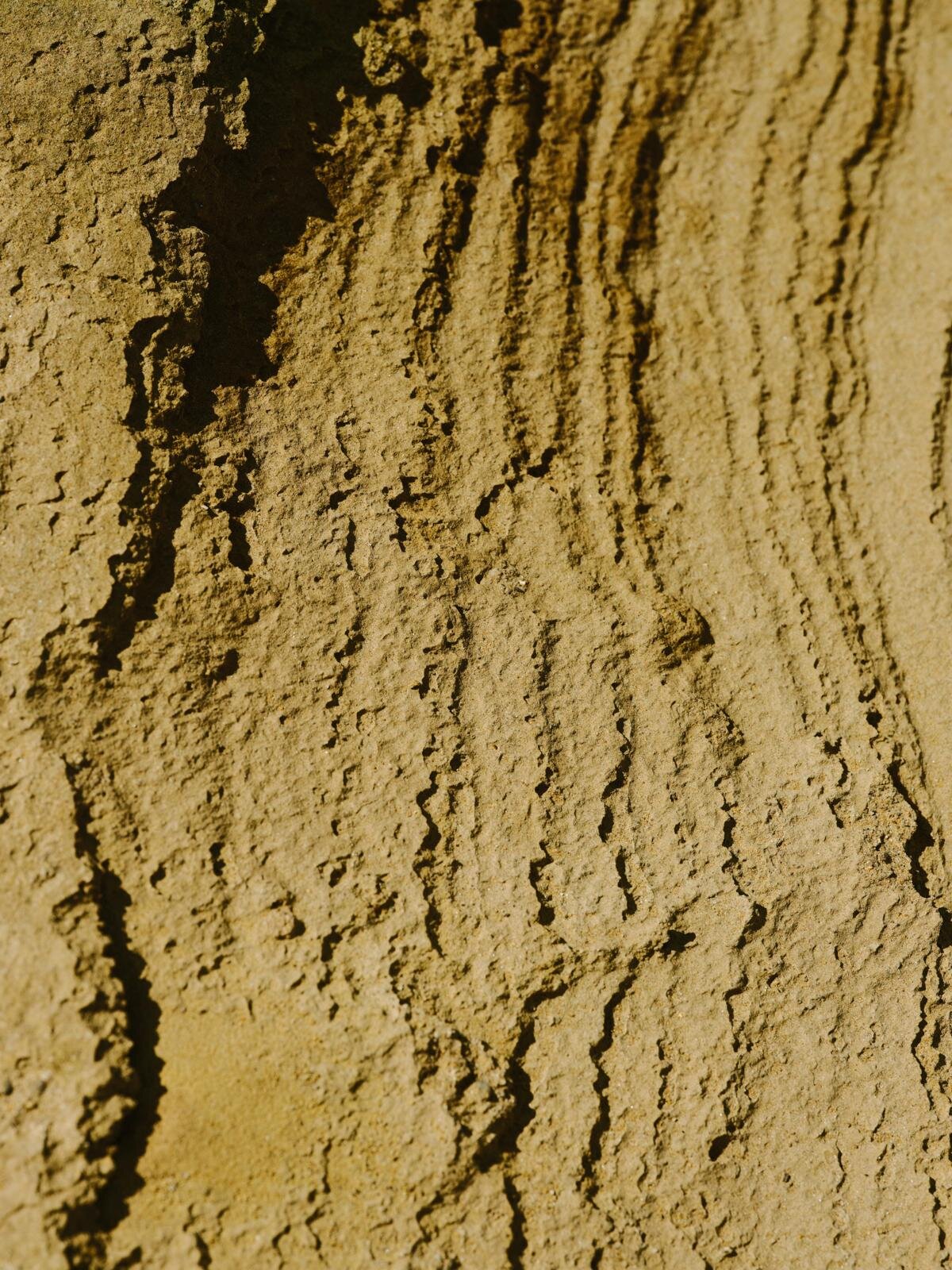 デサント オルテライン エイティワン 2025-26年秋冬<span>コレクション</span> - 写真2