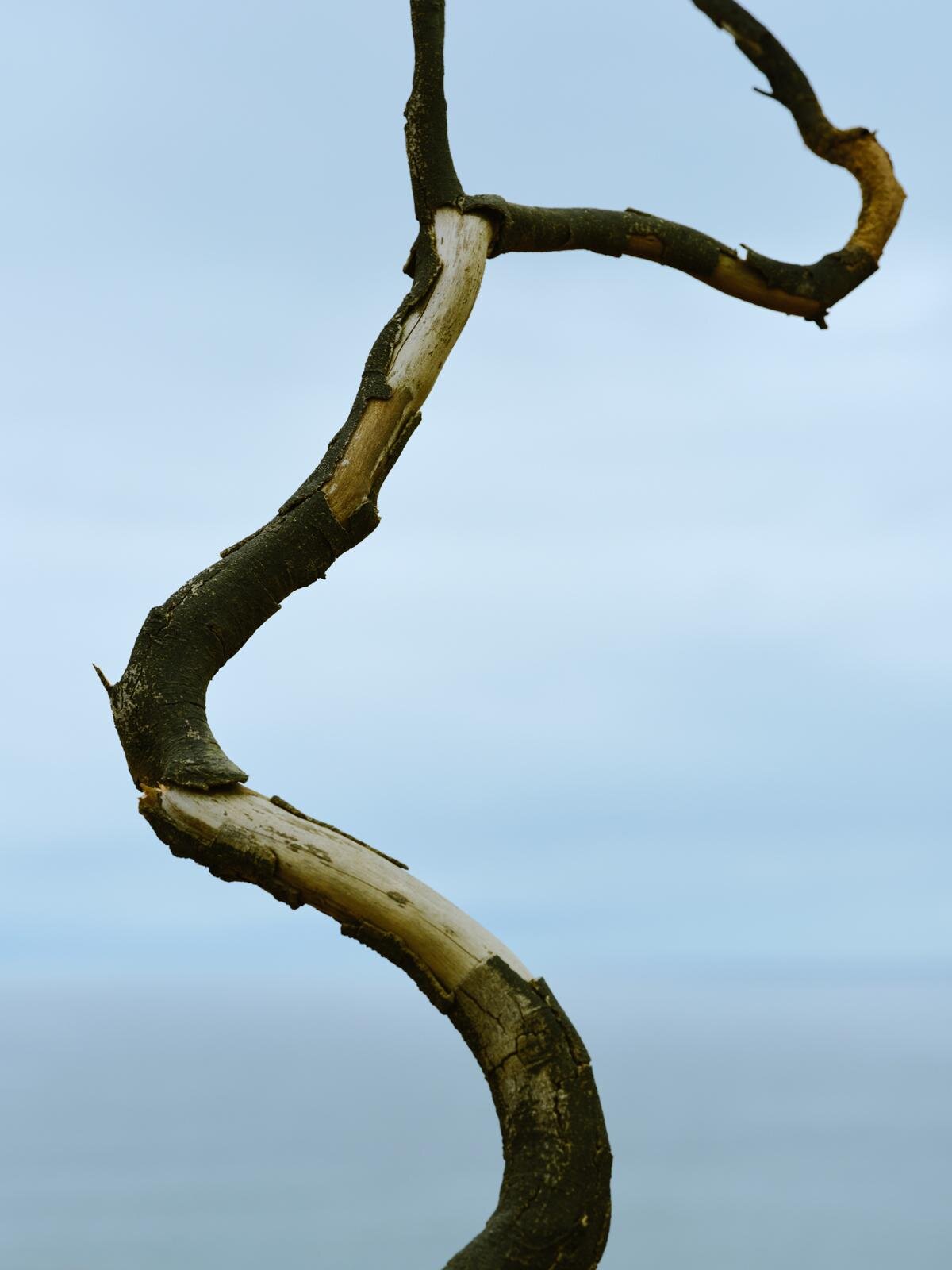 デサント オルテライン エイティワン 2025-26年秋冬<span>コレクション</span> - 写真30