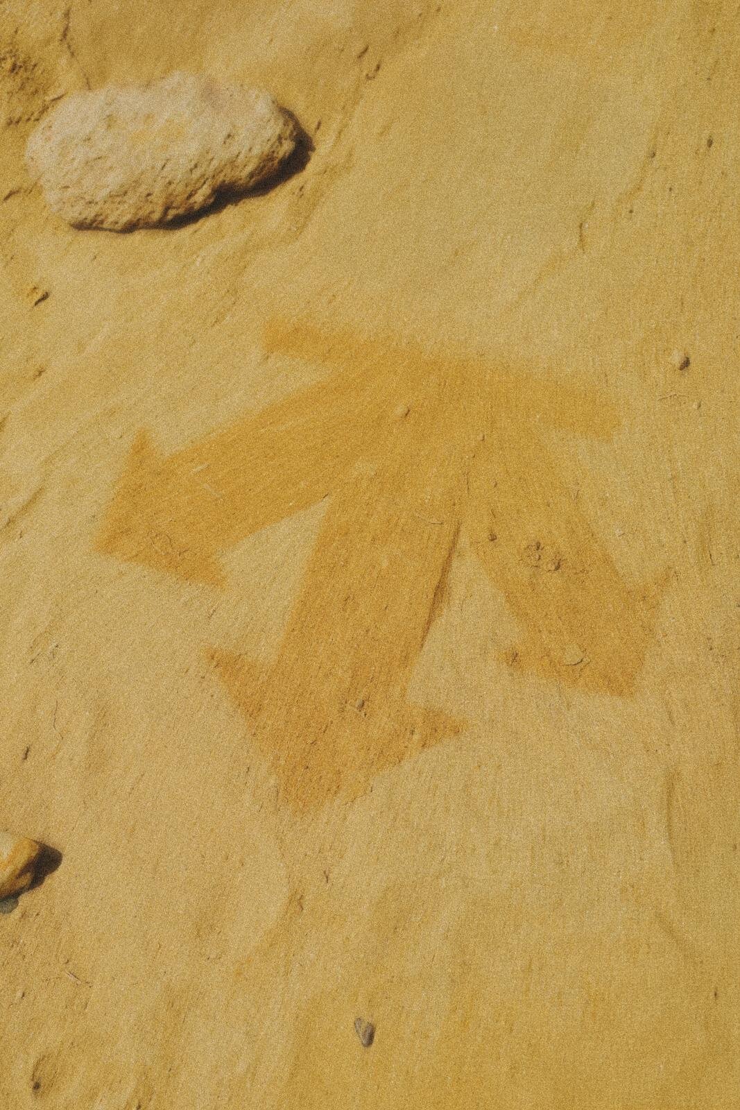 デサント オルテライン エイティワン 2025-26年秋冬<span>コレクション</span> - 写真47