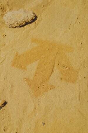 デサント オルテライン エイティワン(DESCENTE ALLTERRAIN 81) 2025-26年秋冬メンズコレクション  - 写真47