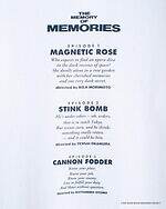 セヴシグ(SEVESKIG) MEMORIES｜写真7