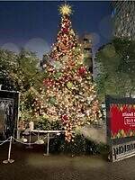 渋谷キャスト25年イルミネーション、”光と音に包まれる”冬のガーデン演出｜写真1