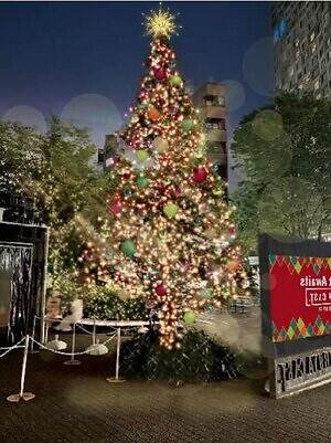 渋谷キャスト25年イルミネーション、”光と音に包まれる”冬のガーデン演出｜写真1