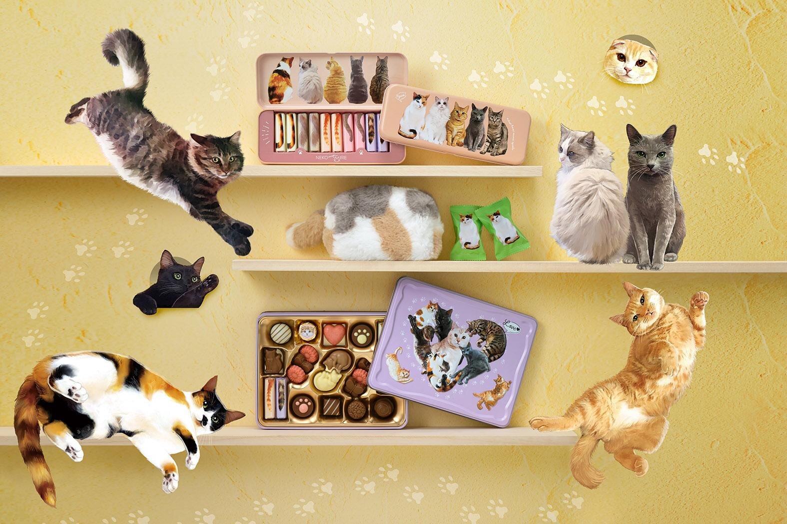 メリーチョコレート(Mary's Chocolate) ねこみゃみれ｜写真9