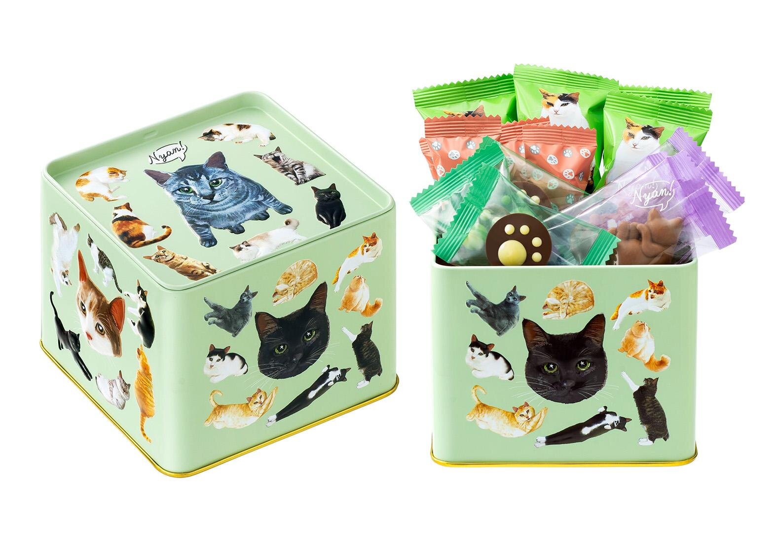 メリーチョコレート(Mary's Chocolate) ねこみゃみれ｜写真7