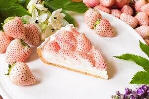 キル フェ ボン煌めく冬のフルーツタルト、“初恋の香り”白イチゴや“幻の洋梨”をたっぷり｜写真4