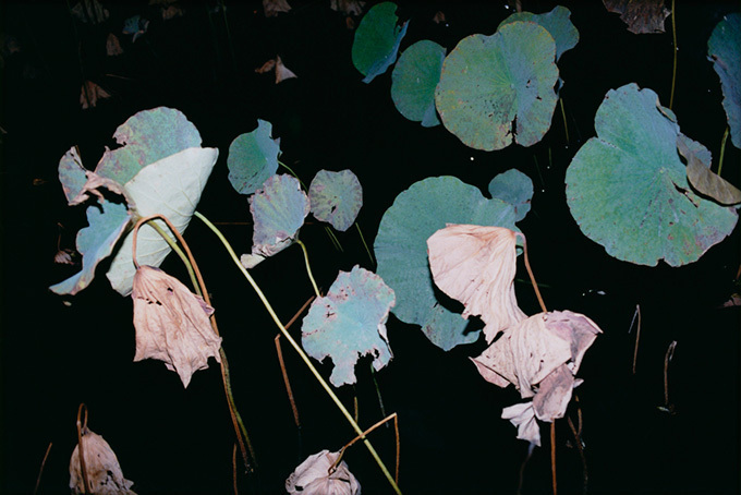 シセ 2015年春夏<span>コレクション</span> - 写真23