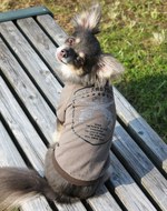 roar(ロアー)とDog Brand 299の犬服コラボ第3段、Tシャツが登場｜写真2