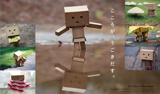漫画「よつばと！」の人気キャラクター「ダンボー」の写真展 - 名古屋パルコにて入場無料 | 写真