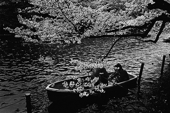 感謝の声続々！ 太宰 dazai 中国語版] / bookob | Moriyama