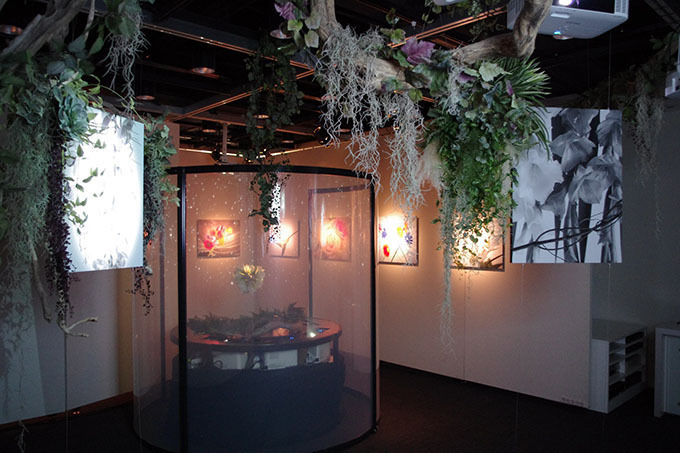 写真×プロジェクションマッピング×植栽、新感覚の展覧会が新宿で開催 | 写真