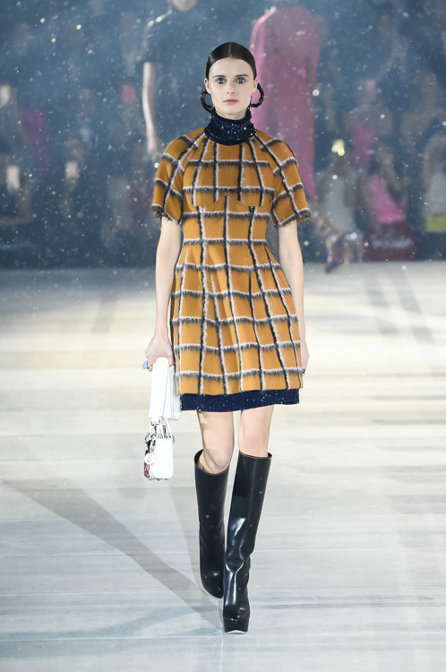 ディオール 2015年秋<span>コレクション</span> - 写真23
