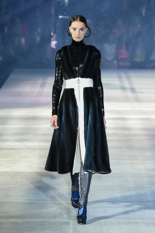 ディオール 2015年秋<span>コレクション</span> - 写真38