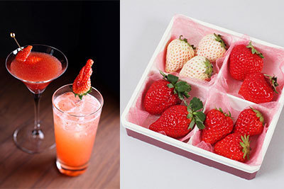 とちおとめ｜横浜赤レンガ倉庫で「ストロベリーフェスティバル」 - 幻の白イチゴやとちおとめカクテル作り