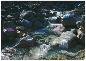 アシードンクラウド(ASEEDONCLOUD) 2015年春夏ウィメンズ&メンズコレクション  - 写真10